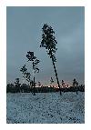photo_1893