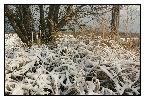 photo_1896