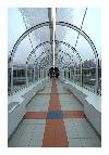 photo_1908