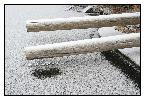 photo_1909
