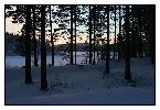 photo_1917