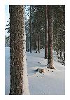 photo_1920