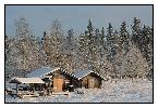 photo_1930