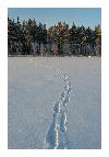 photo_1935