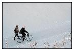 photo_1936