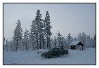 photo_1939