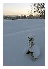 photo_1943
