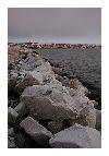 photo_1946
