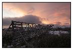 photo_1948