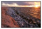 photo_1952