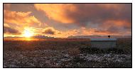 photo_1953
