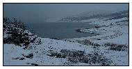 photo_1955