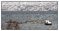 photo_1957