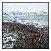 photo_1961
