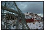 photo_1966