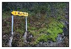 photo_1976