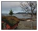 photo_1978
