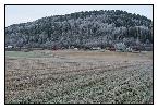 photo_1988