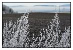 photo_1989