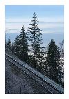 photo_1990