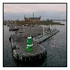 photo_2029