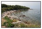 photo_2311