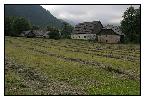photo_2328