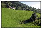 photo_2330