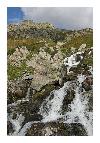 photo_2334