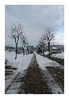 photo_2579