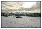 photo_2581