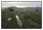 photo_2583
