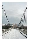 photo_2584
