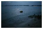 photo_2742