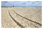 photo_2743