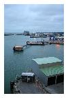 photo_2748