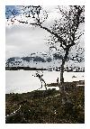 photo_2758