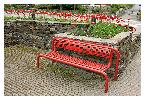 photo_2762