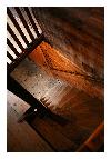 photo_2776