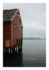 photo_2778