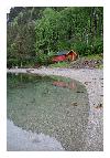photo_2783