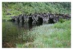 photo_2786