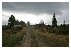 photo_2791