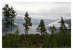 photo_2792