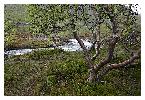photo_2796