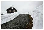 photo_2798