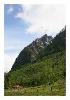 photo_2811