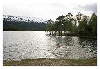 photo_2816