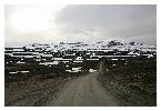 photo_2819