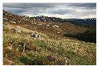 photo_2820